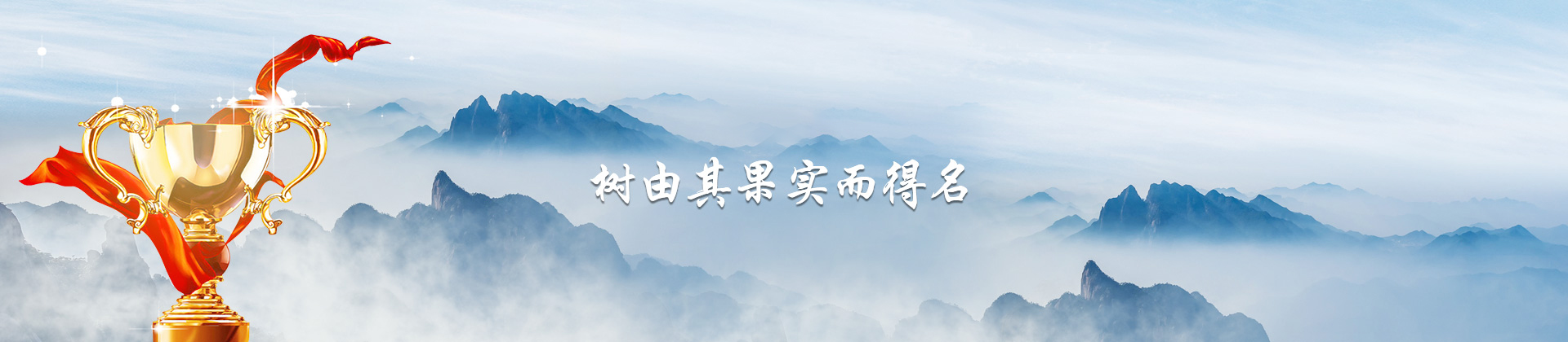 榮譽(yù)資質(zhì)